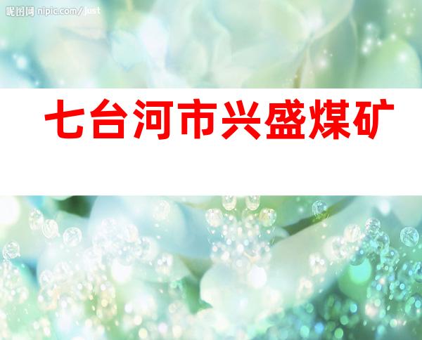 七台河市兴盛煤矿