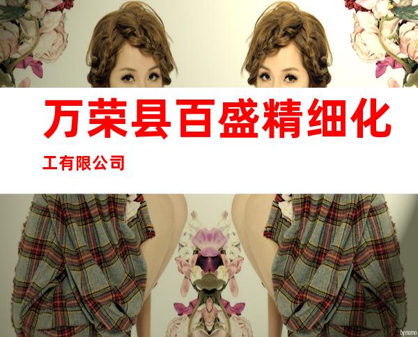 万荣县百盛精细化工有限公司