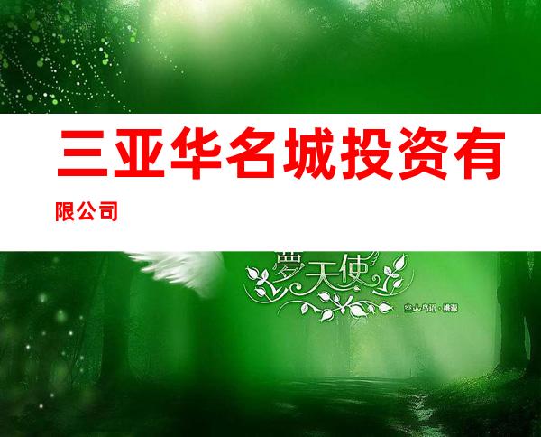 三亚华名城投资有限公司
