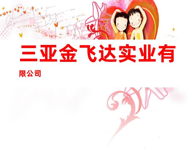 三亚金飞达实业有限公司