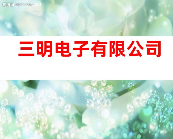 三明电子有限公司