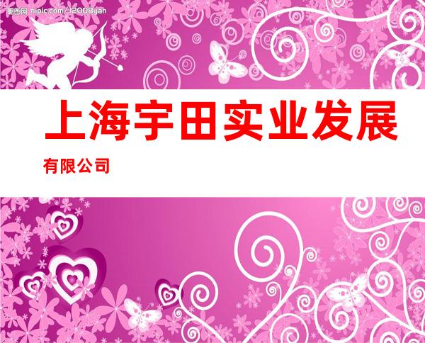 上海宇田实业发展有限公司