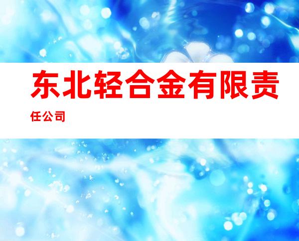 东北轻合金有限责任公司