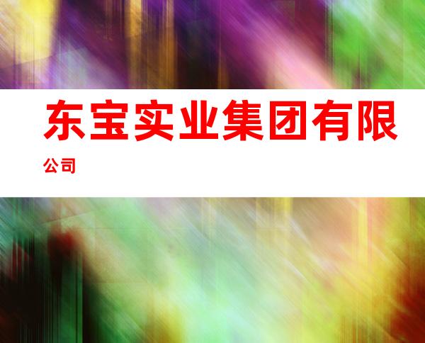 东宝实业集团有限公司