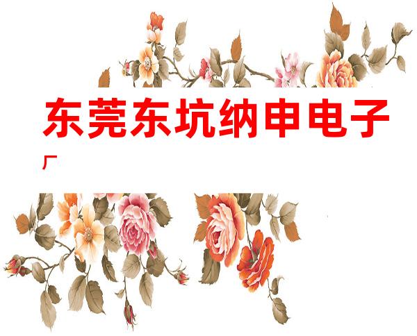 东莞东坑纳申电子厂