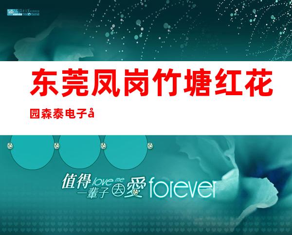 东莞凤岗竹塘红花园森泰电子厂