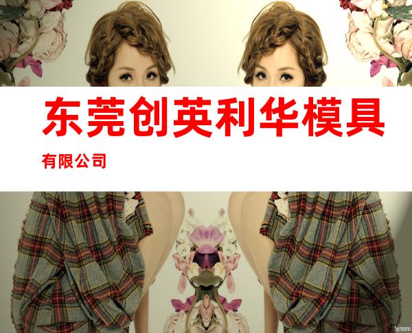 东莞创英利华模具有限公司