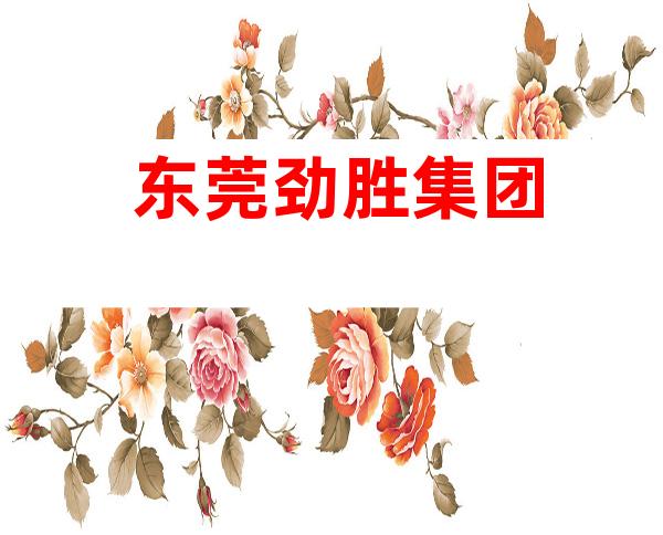 东莞劲胜集团
