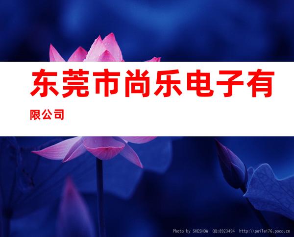 东莞市尚乐电子有限公司