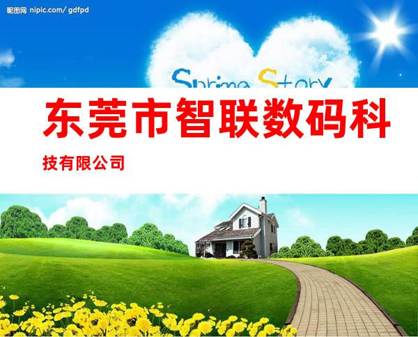 东莞市智联数码科技有限公司