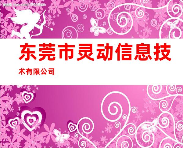 东莞市灵动信息技术有限公司