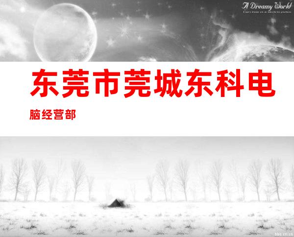 东莞市莞城东科电脑经营部