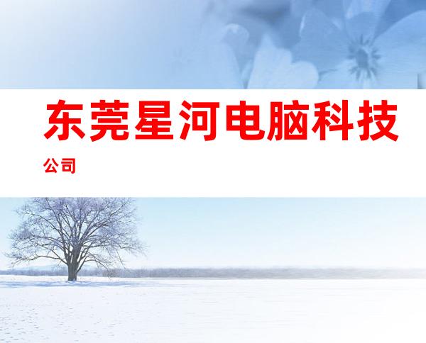 东莞星河电脑科技公司