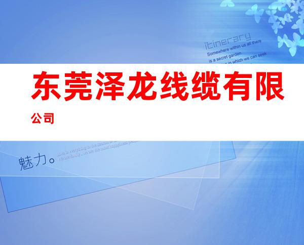 东莞泽龙线缆有限公司