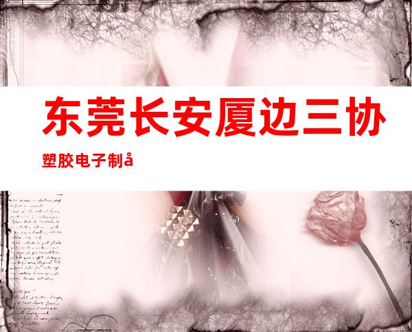 东莞长安厦边三协塑胶电子制品厂