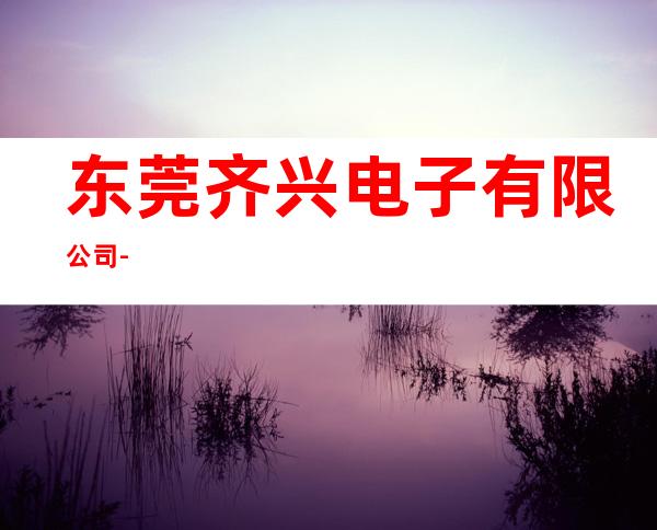 东莞齐兴电子有限公司-