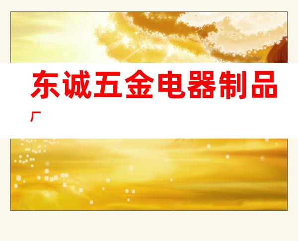 东诚五金电器制品厂