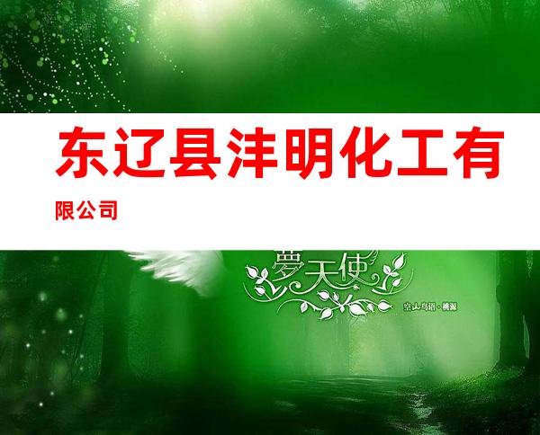 东辽县沣明化工有限公司