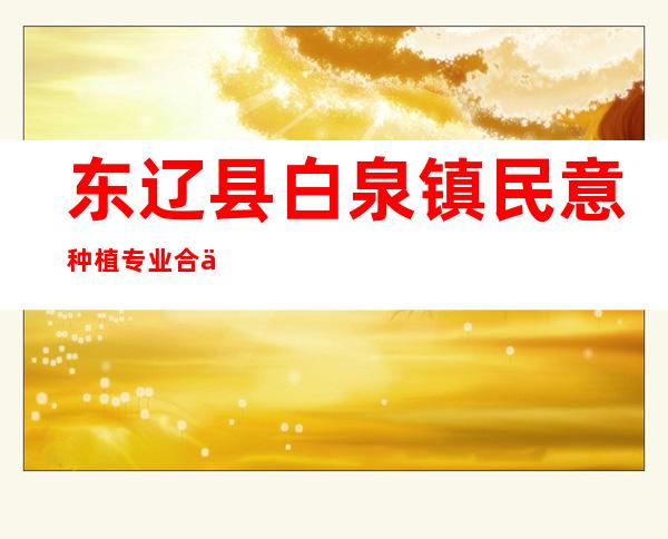 东辽县白泉镇民意种植专业合作社