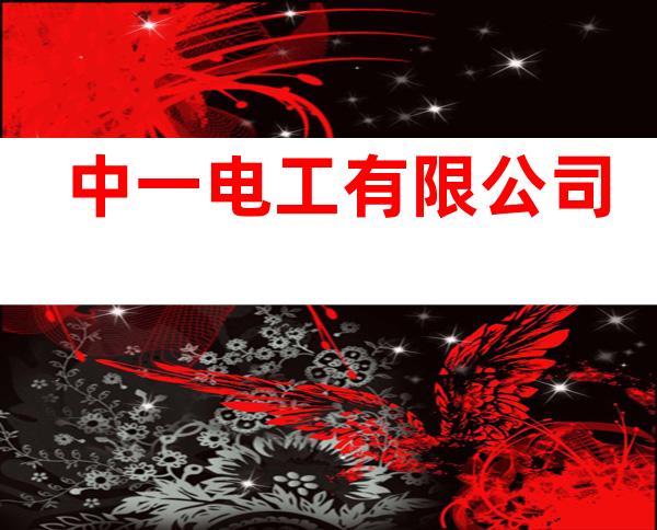 中一电工有限公司