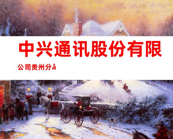 中兴通讯股份有限公司贵州分公司