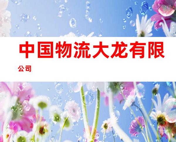 中国物流大龙有限公司