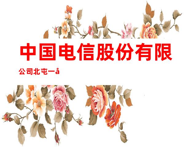 中国电信股份有限公司北屯一八三团客户服务部