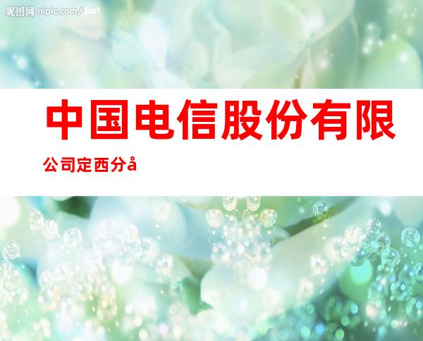 中国电信股份有限公司定西分公司