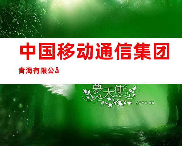 中国移动通信集团青海有限公司祁连分公司