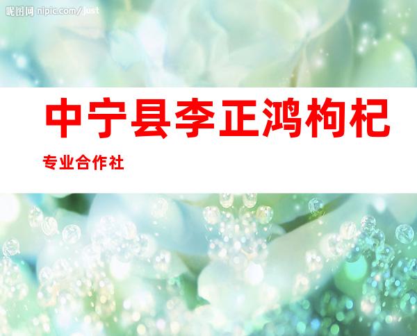 中宁县李正鸿枸杞专业合作社