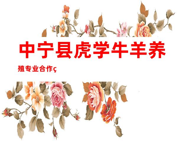 中宁县虎学牛羊养殖专业合作社