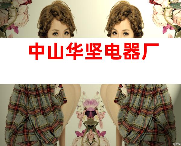 中山华坚电器厂