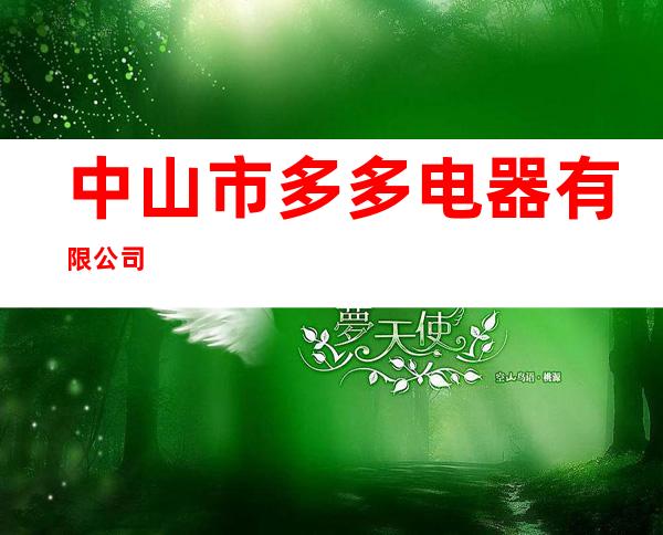 中山市多多电器有限公司