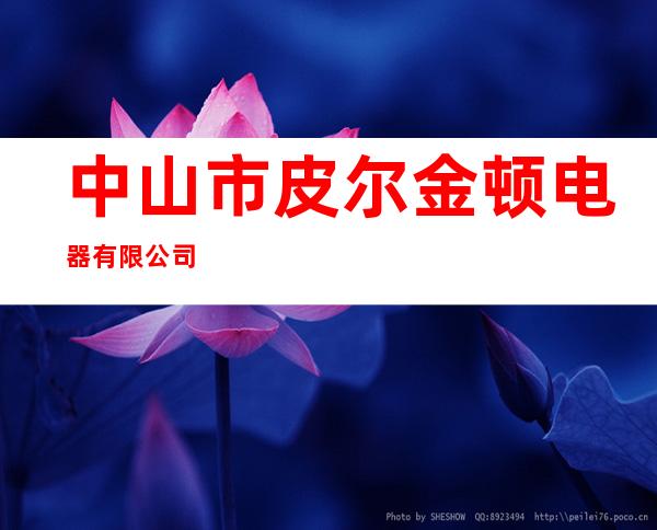 中山市皮尔金顿电器有限公司