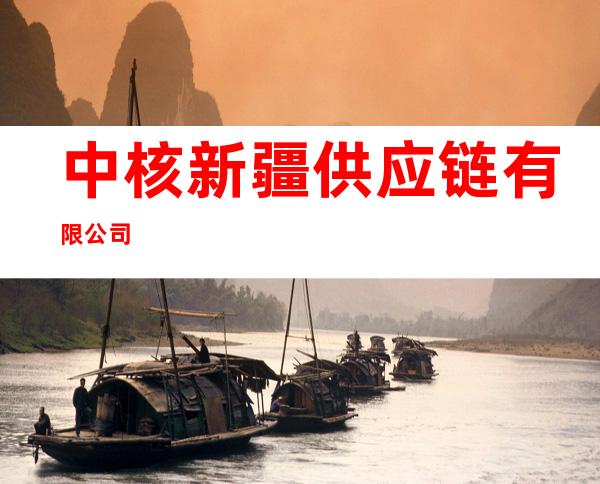 中核新疆供应链有限公司