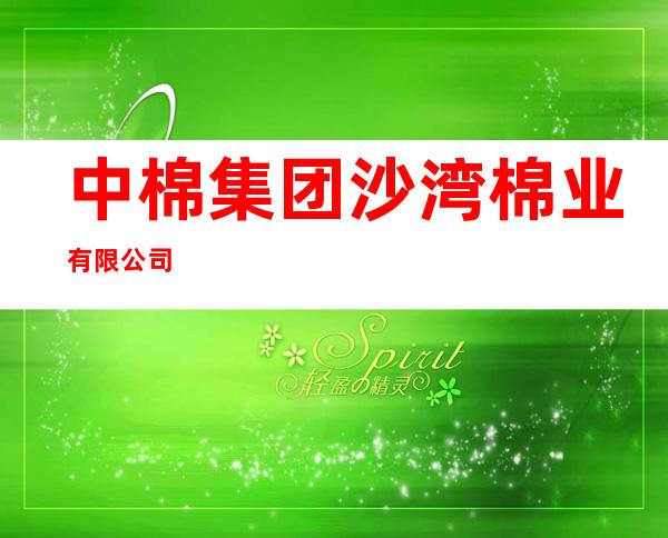 中棉集团沙湾棉业有限公司
