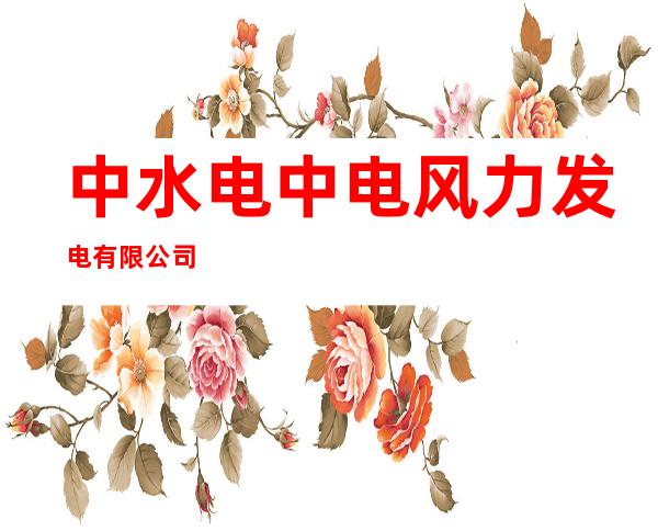 中水电中电风力发电有限公司