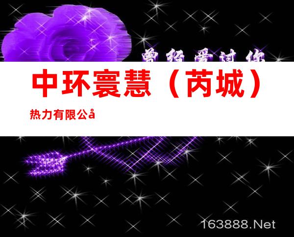 中环寰慧（芮城）热力有限公司