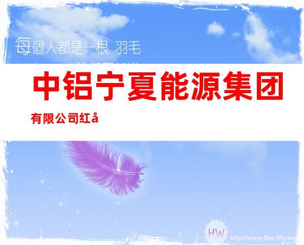 中铝宁夏能源集团有限公司红寺堡光伏发电厂