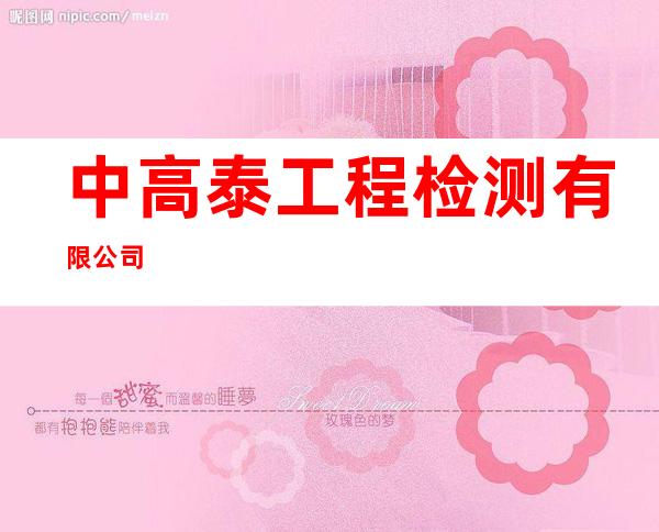 中高泰工程检测有限公司