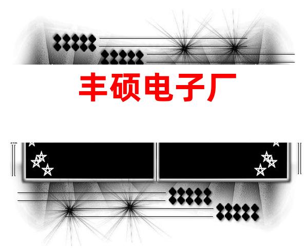 丰硕电子厂