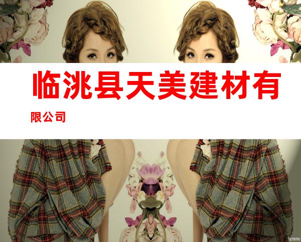 临洮县天美建材有限公司