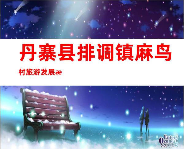 丹寨县排调镇麻鸟村旅游发展有限责任公司