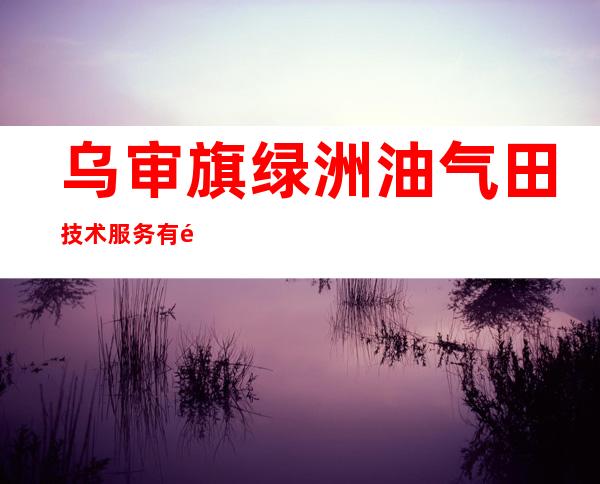 乌审旗绿洲油气田技术服务有限公司