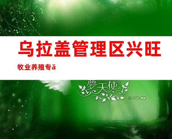 乌拉盖管理区兴旺牧业养殖专业合作社