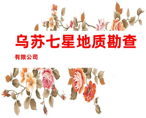 乌苏七星地质勘查有限公司