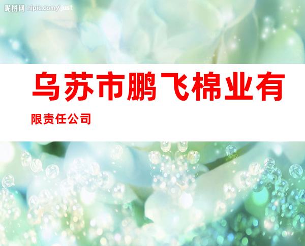 乌苏市鹏飞棉业有限责任公司