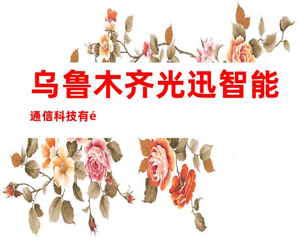 乌鲁木齐光迅智能通信科技有限公司