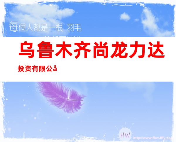 乌鲁木齐尚龙力达投资有限公司
