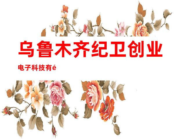 乌鲁木齐纪卫创业电子科技有限公司